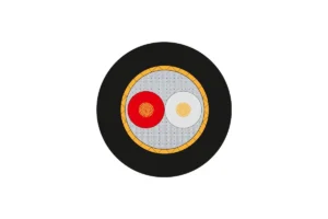 60404224-1.webp