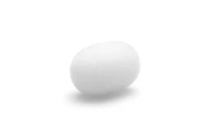 60404463-0.webp