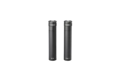 DPA Microphones 2015 Stereo-Paar
